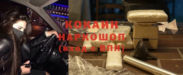 дмт Белокуриха
