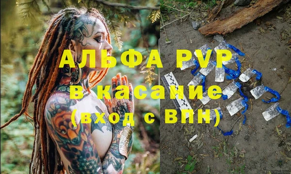дмт Белокуриха