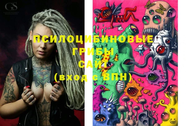 дмт Белокуриха