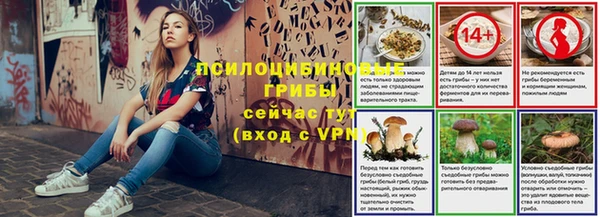 дмт Белокуриха