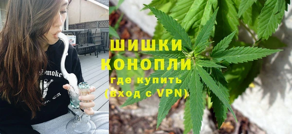 дмт Белокуриха